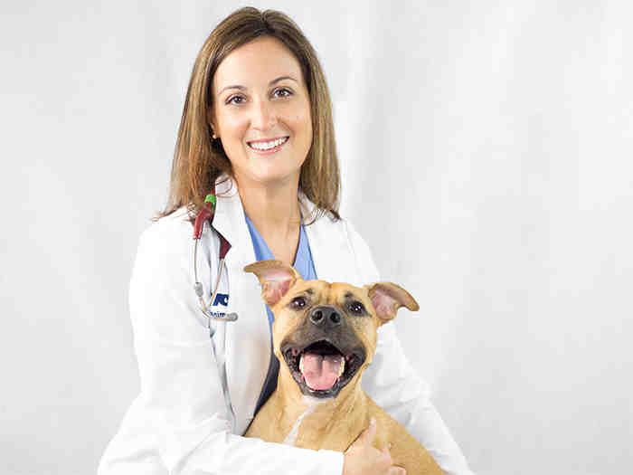 Vet dentist san diego