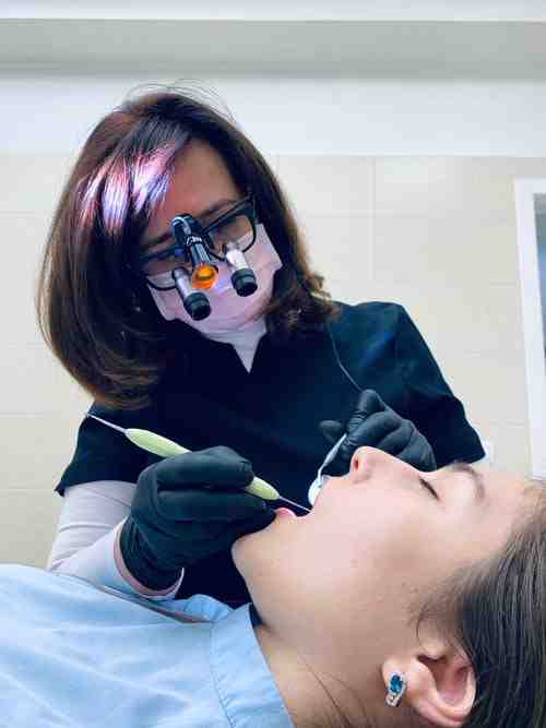 What is holistic dental care?