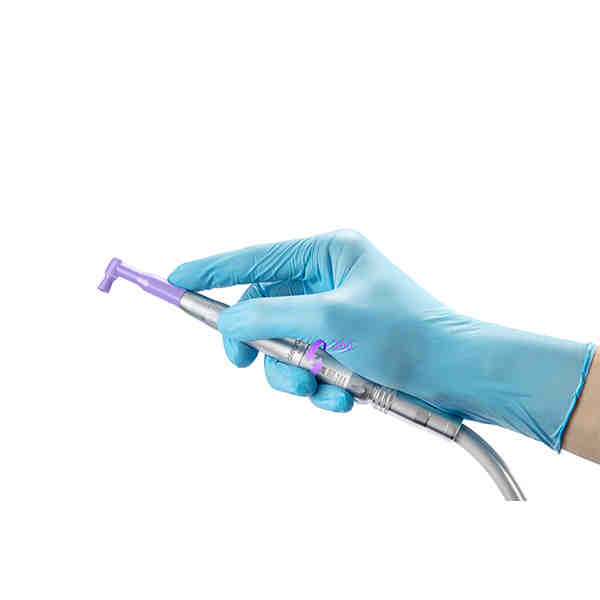 San diego dog dentist anesthesia