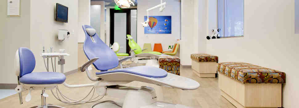 What ages do pediatric dentists treat?