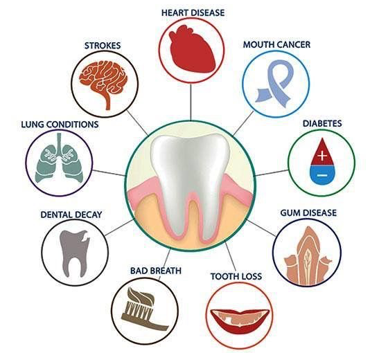 What is the difference between a holistic dentist regular dentist?